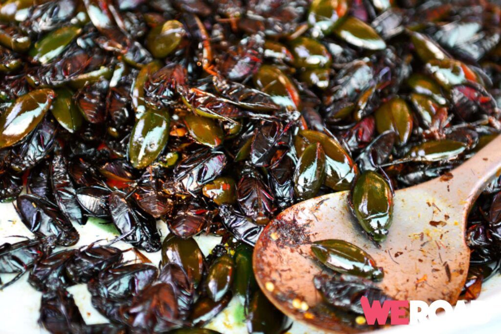 cavallette-giappone-WeRoad