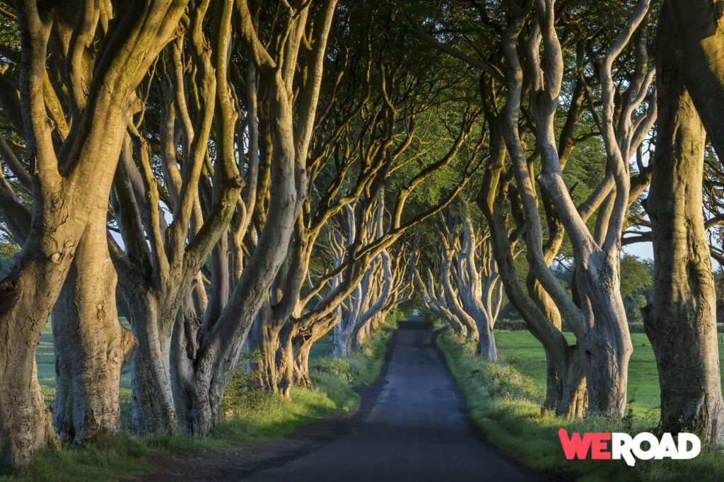 Dark Hedges Irlanda GOT