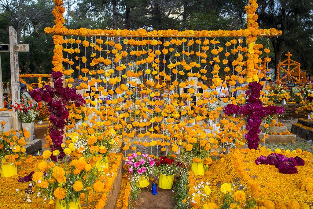 Fiori decorativi per il Dia de los Muertos