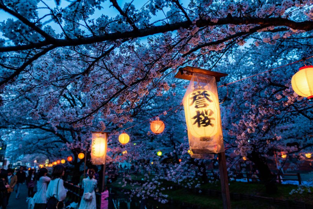 Hanami in Giappone