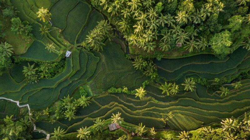 Cosa vedere a Bali: tutti i luoghi da non perdere sull’isola più famosa dell’Indonesia