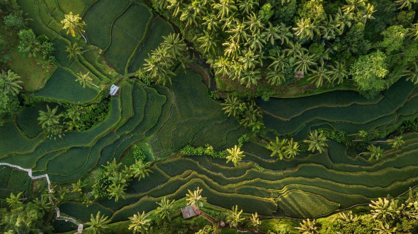 Cosa vedere a Bali: tutti i luoghi da non perdere sull’isola più famosa dell’Indonesia