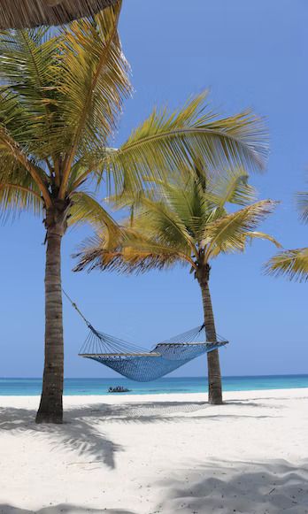 Un'amaca tesa tra due palme sulla spiaggia bianca e finissima di Kiwengwa