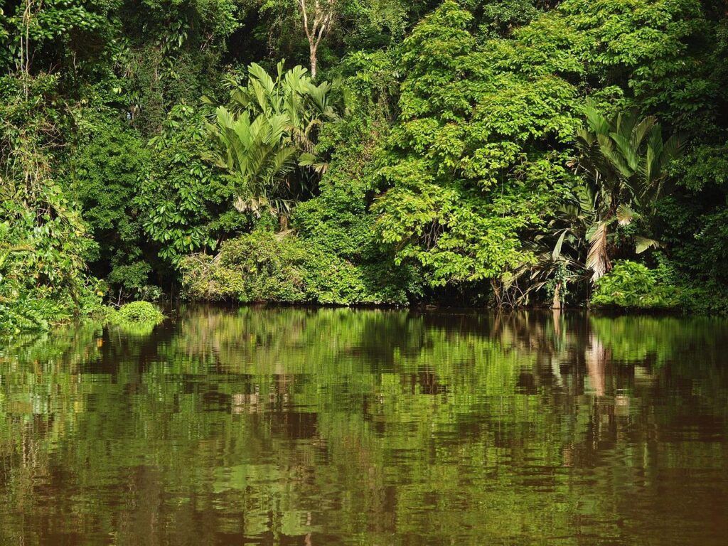Il paesaggio del Parco Nazionale del Tortuguero