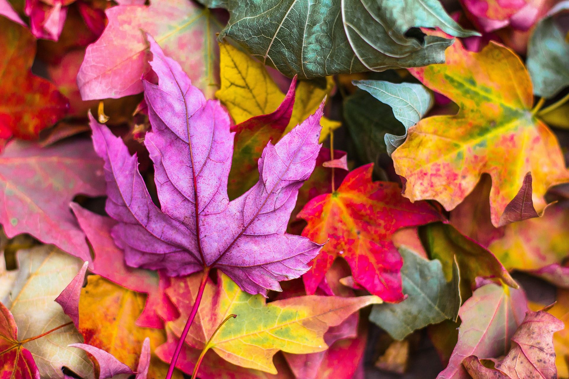dove andare in autunno