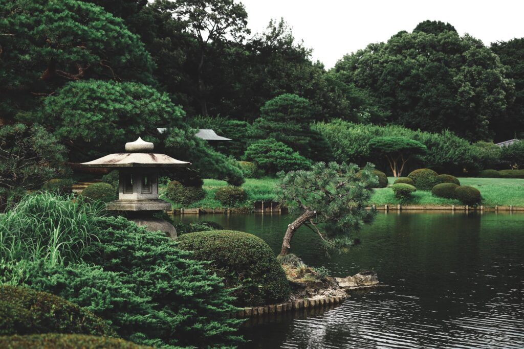 Vista sul Parco di Shinjuku