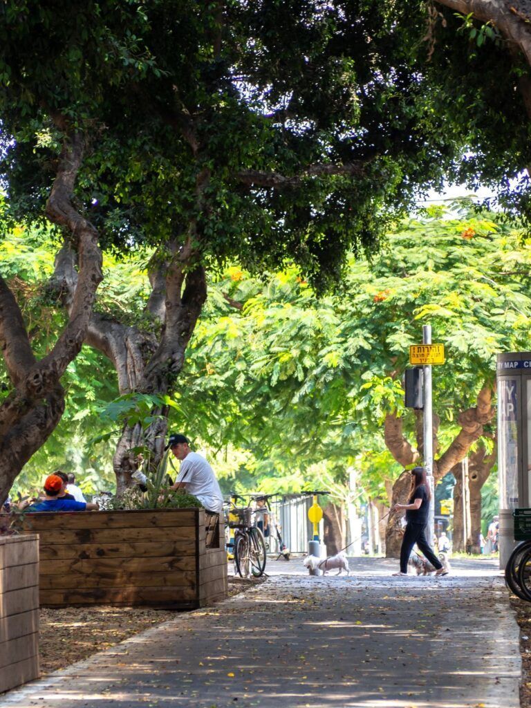 Delle persone sostano o passeggiano in Rothschild Boulevard a Tel Aviv