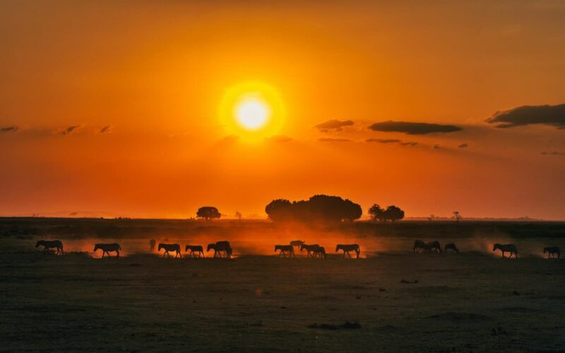 Kenya, cosa vedere dalla savana alla costa sull’Oceano Indiano