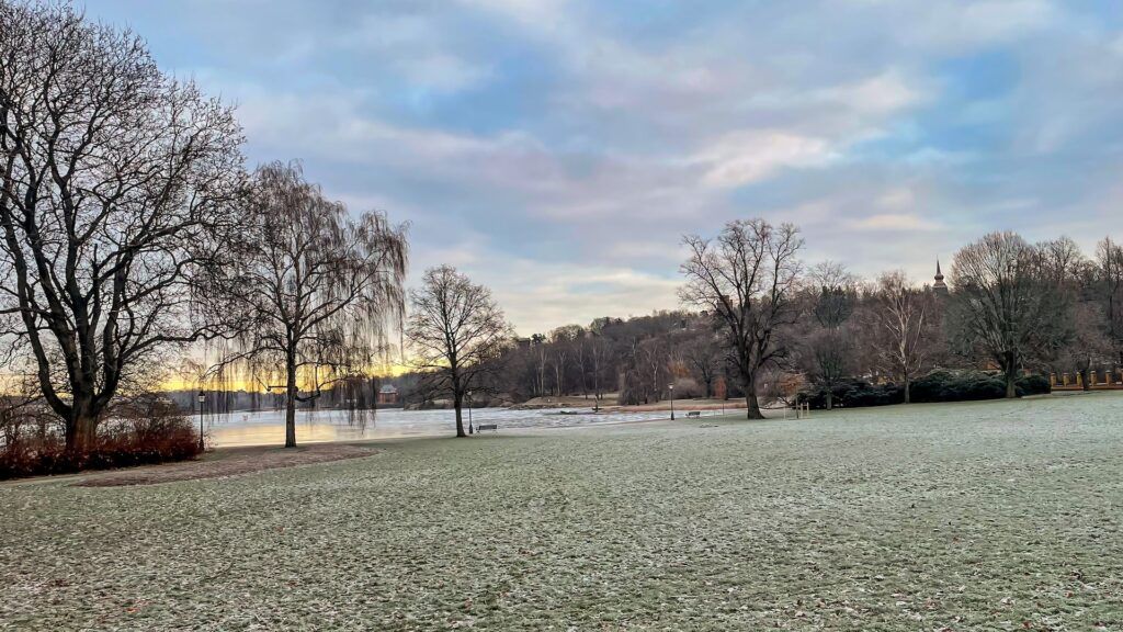 Alberi e prato sull'isola di Djurgården