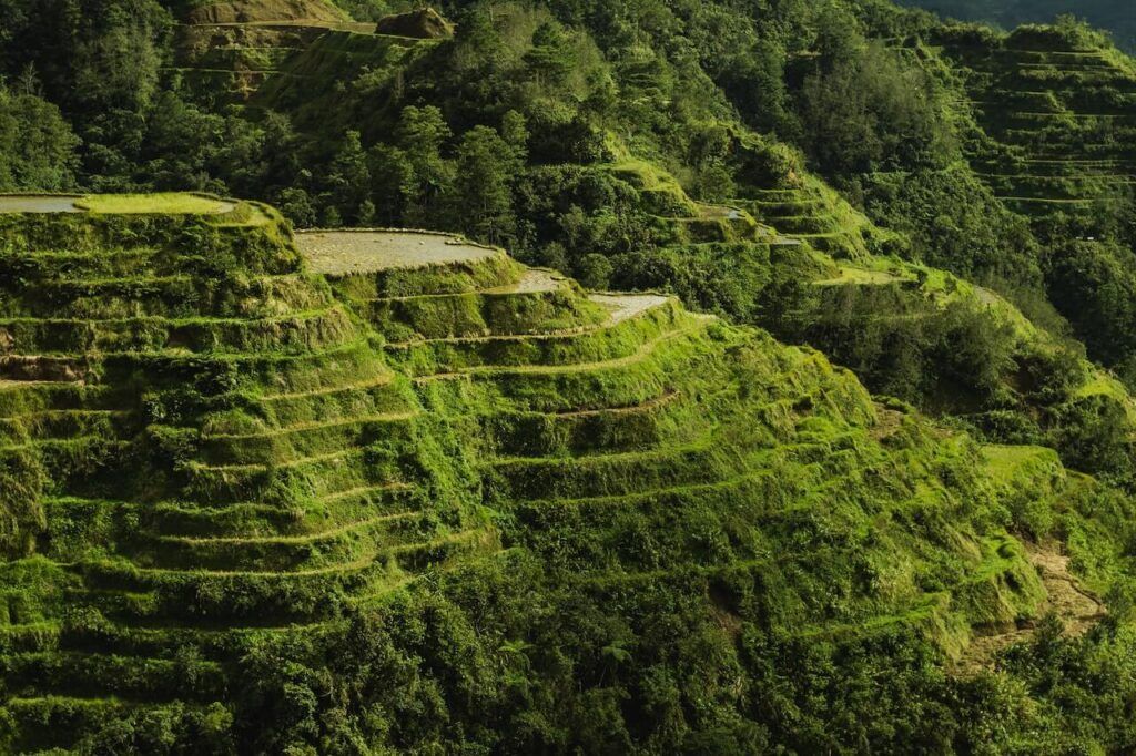 terrazze di Banaue