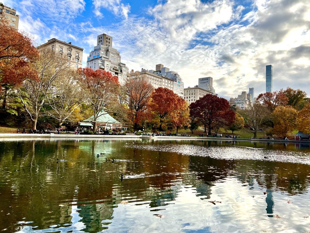 Foto di central park di giorno