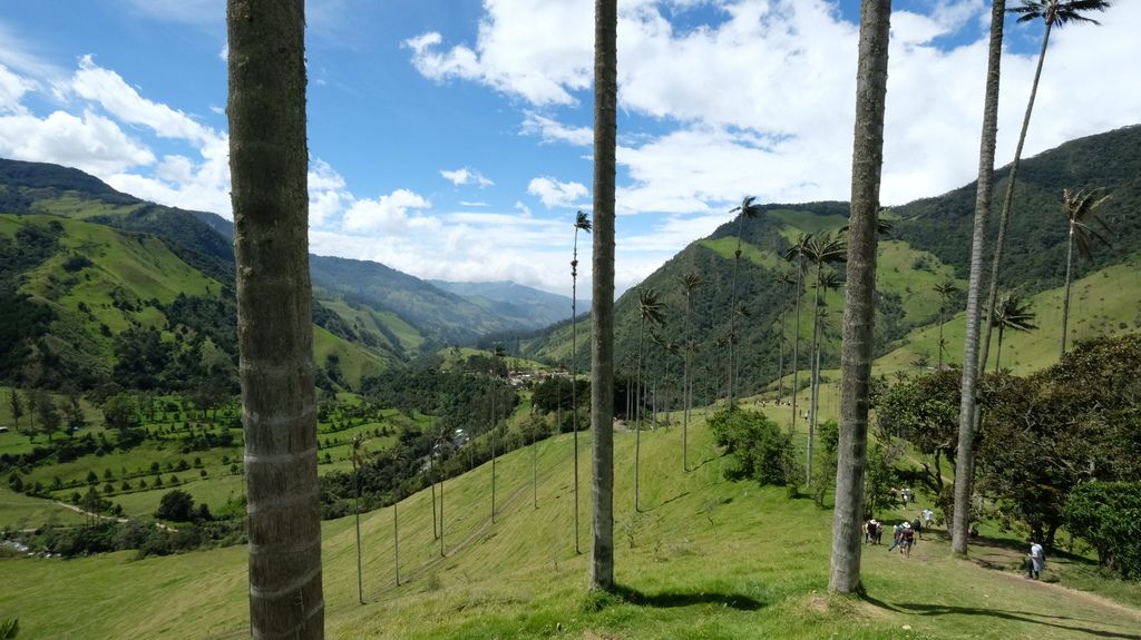 Foto della verdissima valle del cocora di giorno
