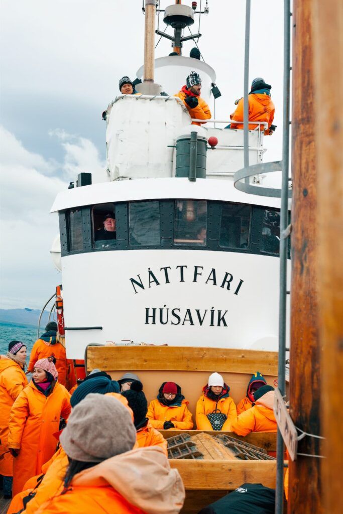 Tour a Husavik per vedere le balene