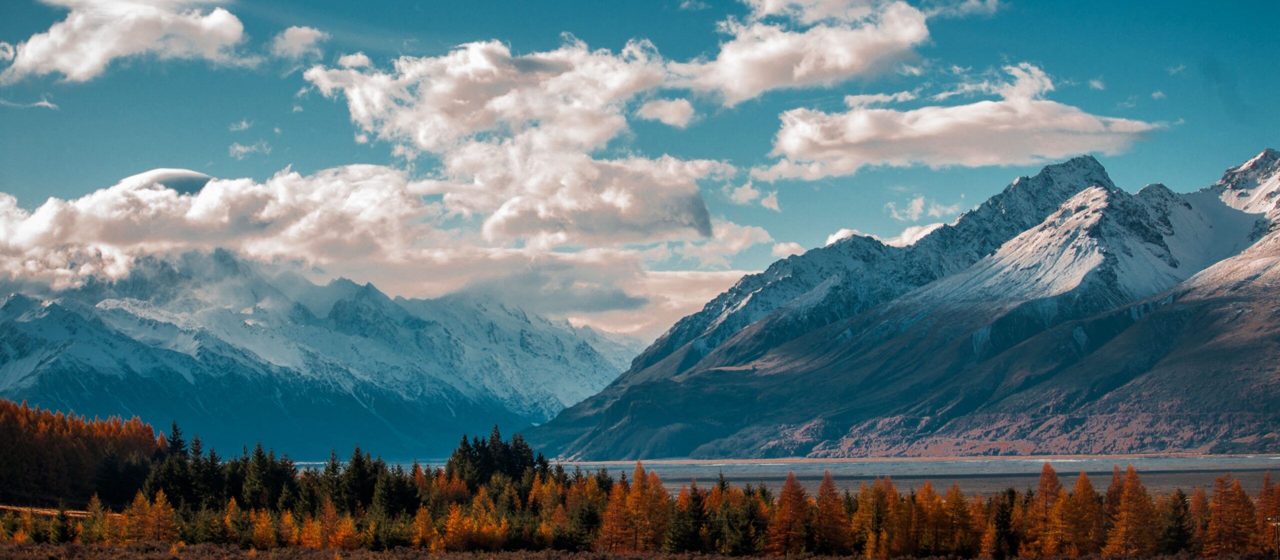 Foliage_Autunno_Weroad