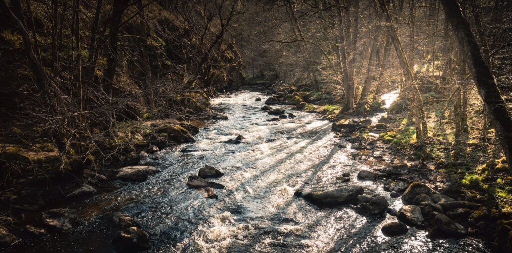la natura di Avallone