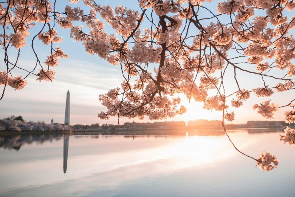 Il Washington Monument visto dall'acqua al tramonto