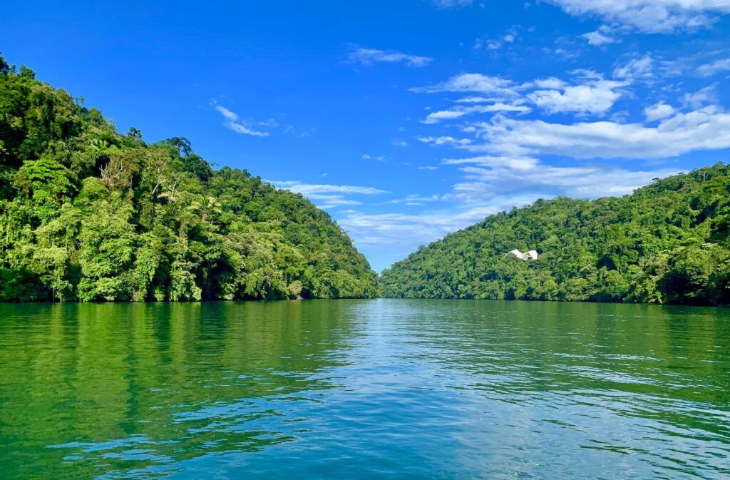 La acque del Rio Dulce circondato da una fitta vegetazione verde