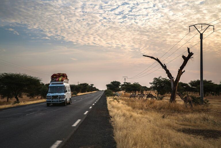Cosa_vedere_in_Senegal_WeRoad