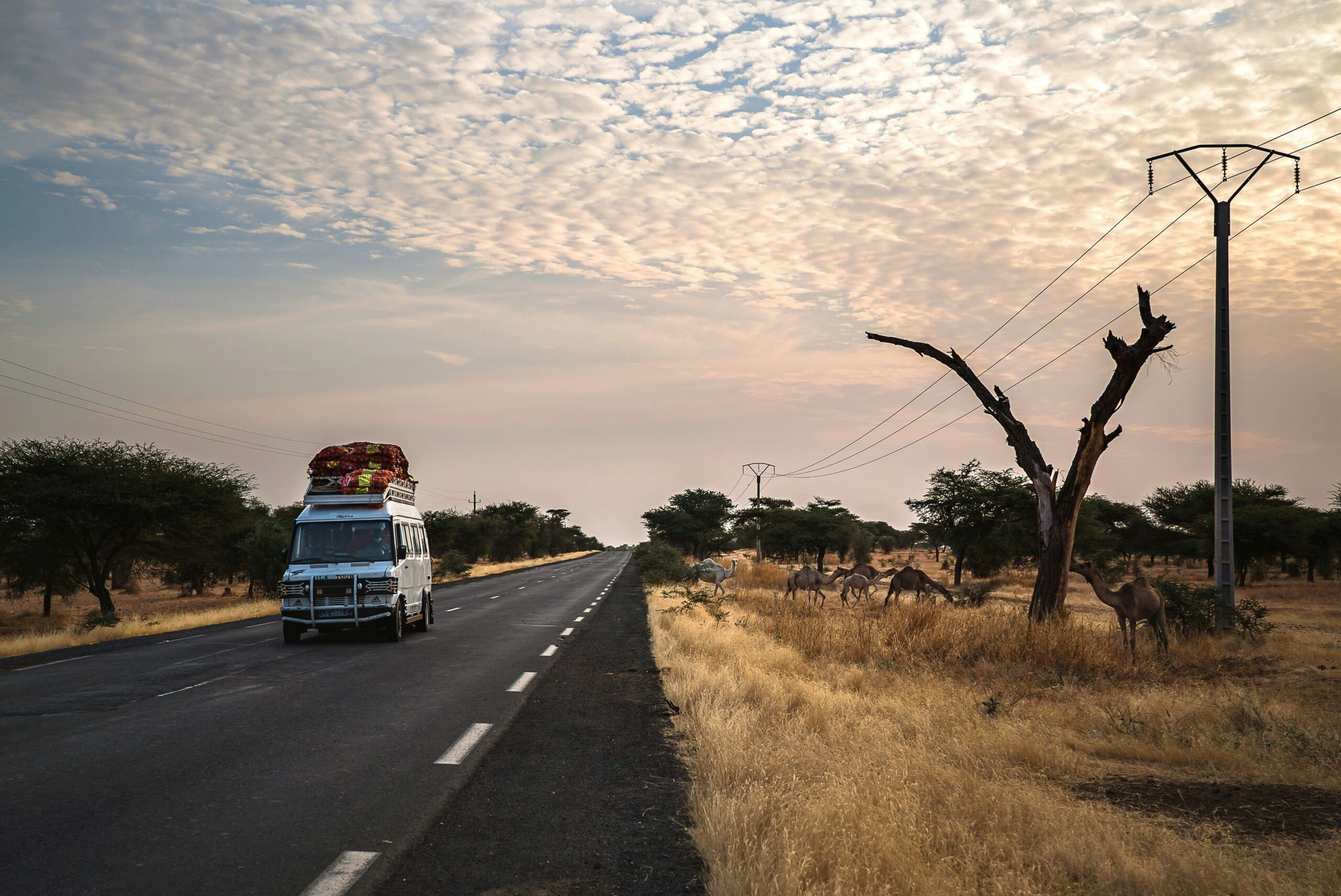 Cosa_vedere_in_Senegal_WeRoad