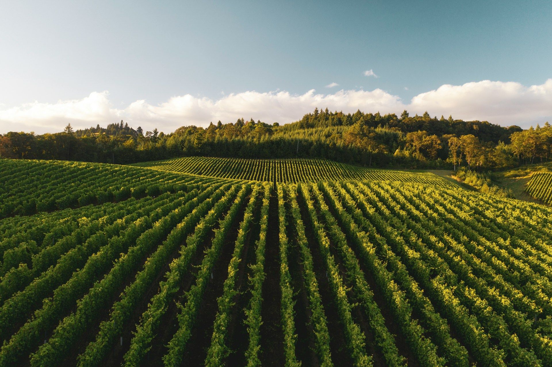 cosa vedere in Franciacorta