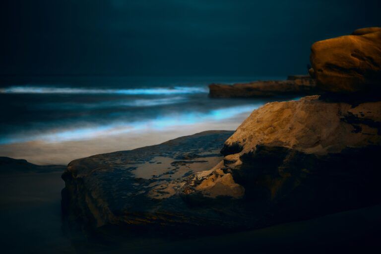 Bioluminescenza_WeRoad