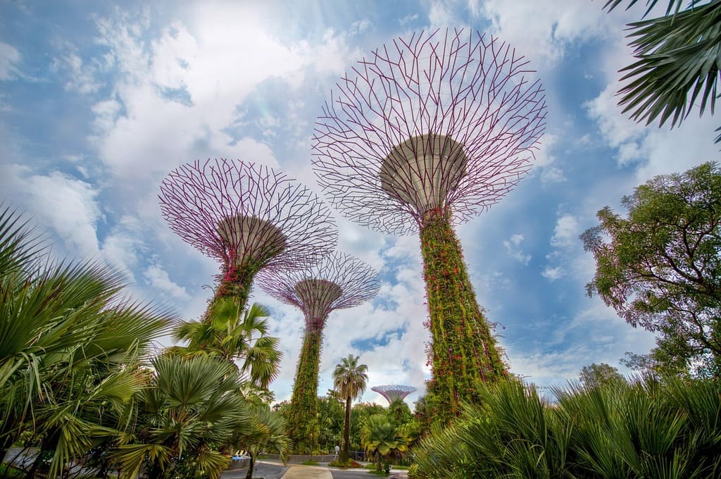 Gardens by the bay a Singapore