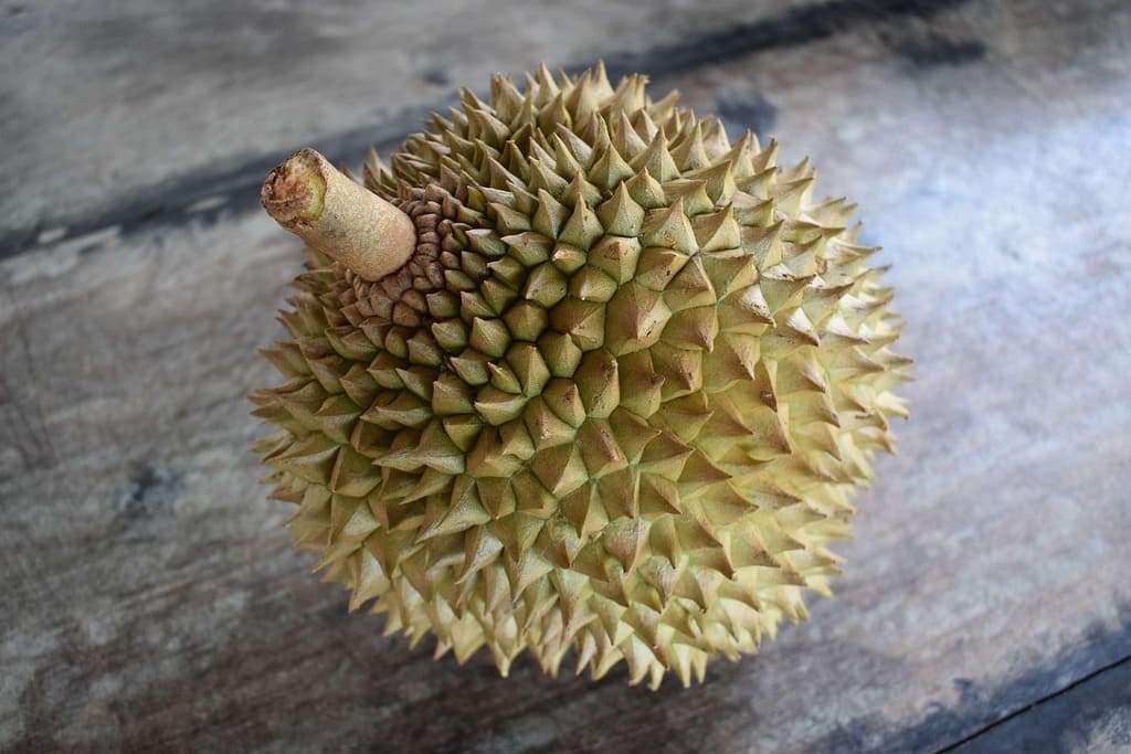 Durian
 