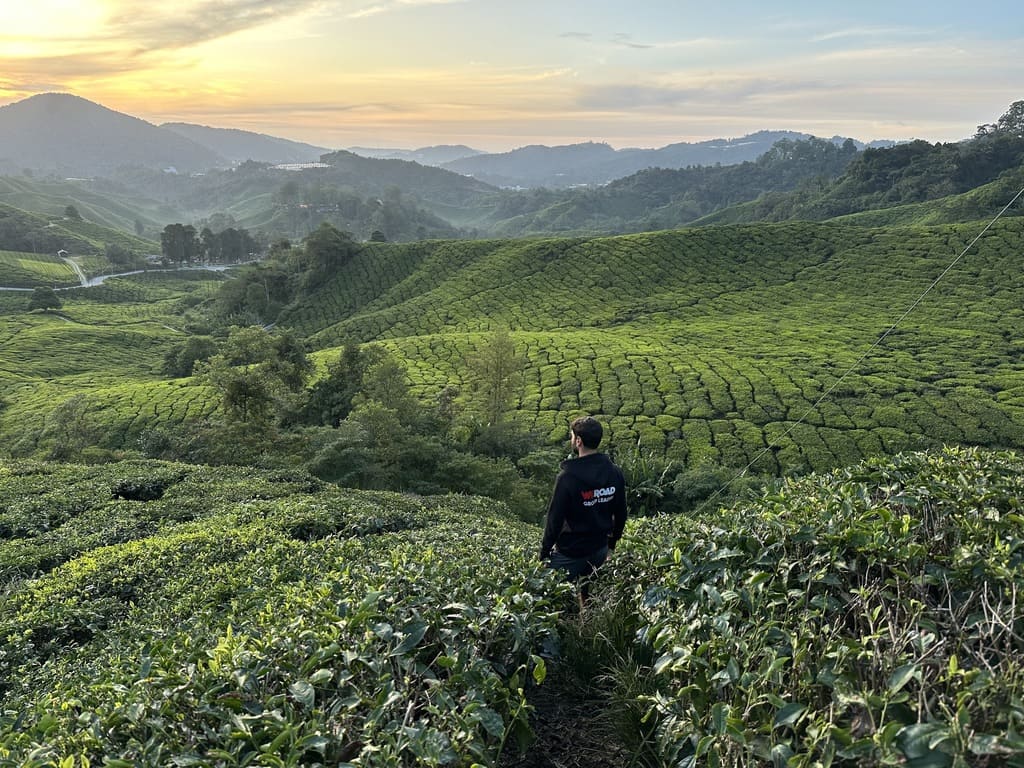 Singapore e Malesia WeRoad