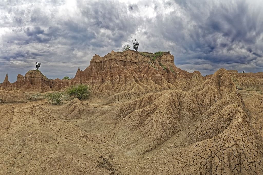 Deserto di cactus in Colombia
