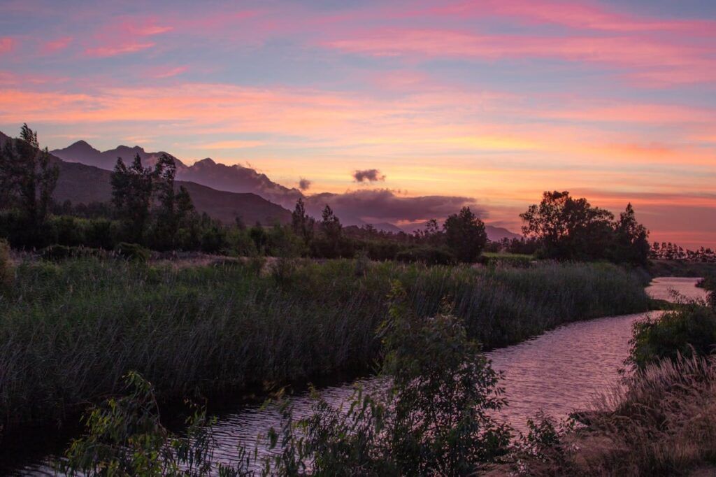 Paesaggio naturale e vigneti al tramonto a Stellenbosch