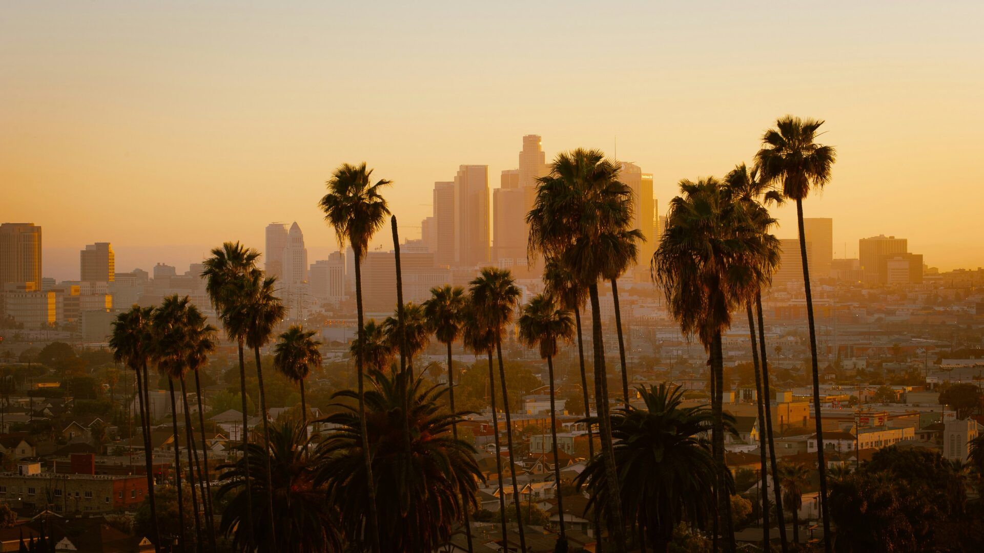 Quando andare a Los Angeles: periodo migliore, clima e temperature