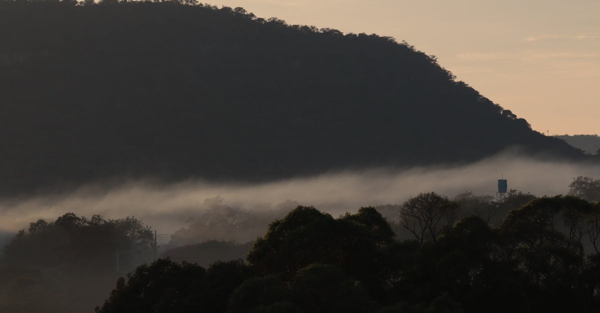 Cosa vedere in Algarve: un itinerario per esperienze autentiche