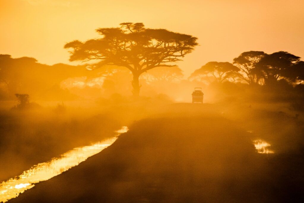 Un fuoristrada attraversa la savana africana al tramonto, tra alberi di acacia e una luce dorata che avvolge il paesaggio