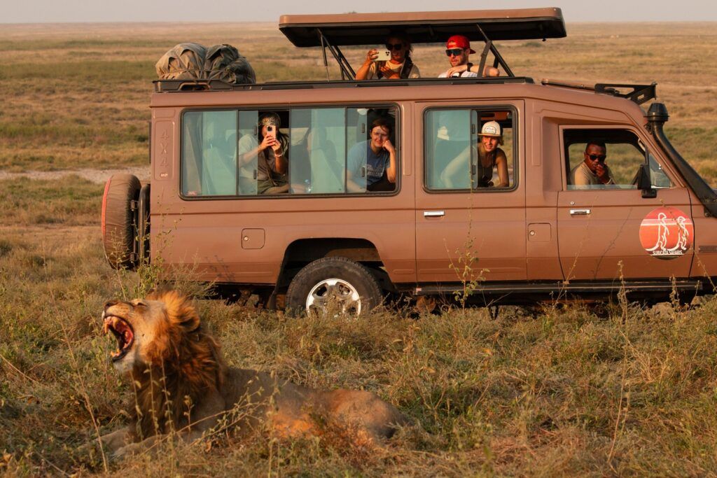 Gruppo WeRoad a bordo di una jeep da safari osserva da vicino un leone sdraiato nell’erba.