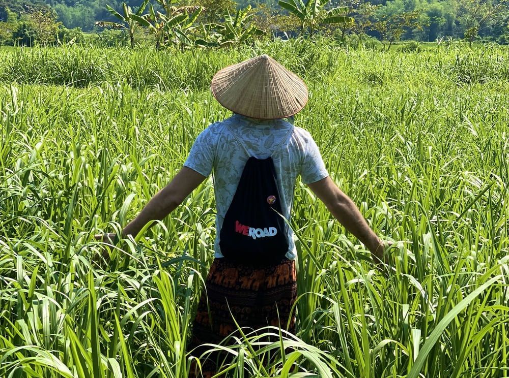 Viaggio in Vietnam a gennaio 