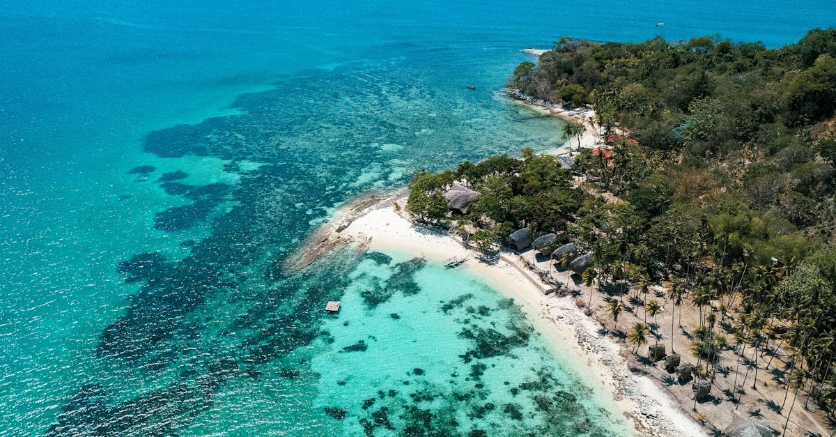 Esplora la cucina filippina: un viaggio autentico tra sapori incredibili