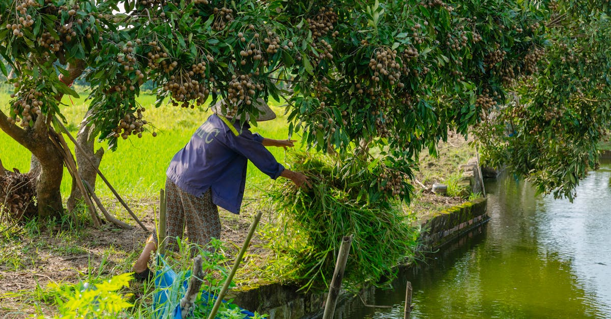 Cosa non fare in Vietnam per un viaggio autentico