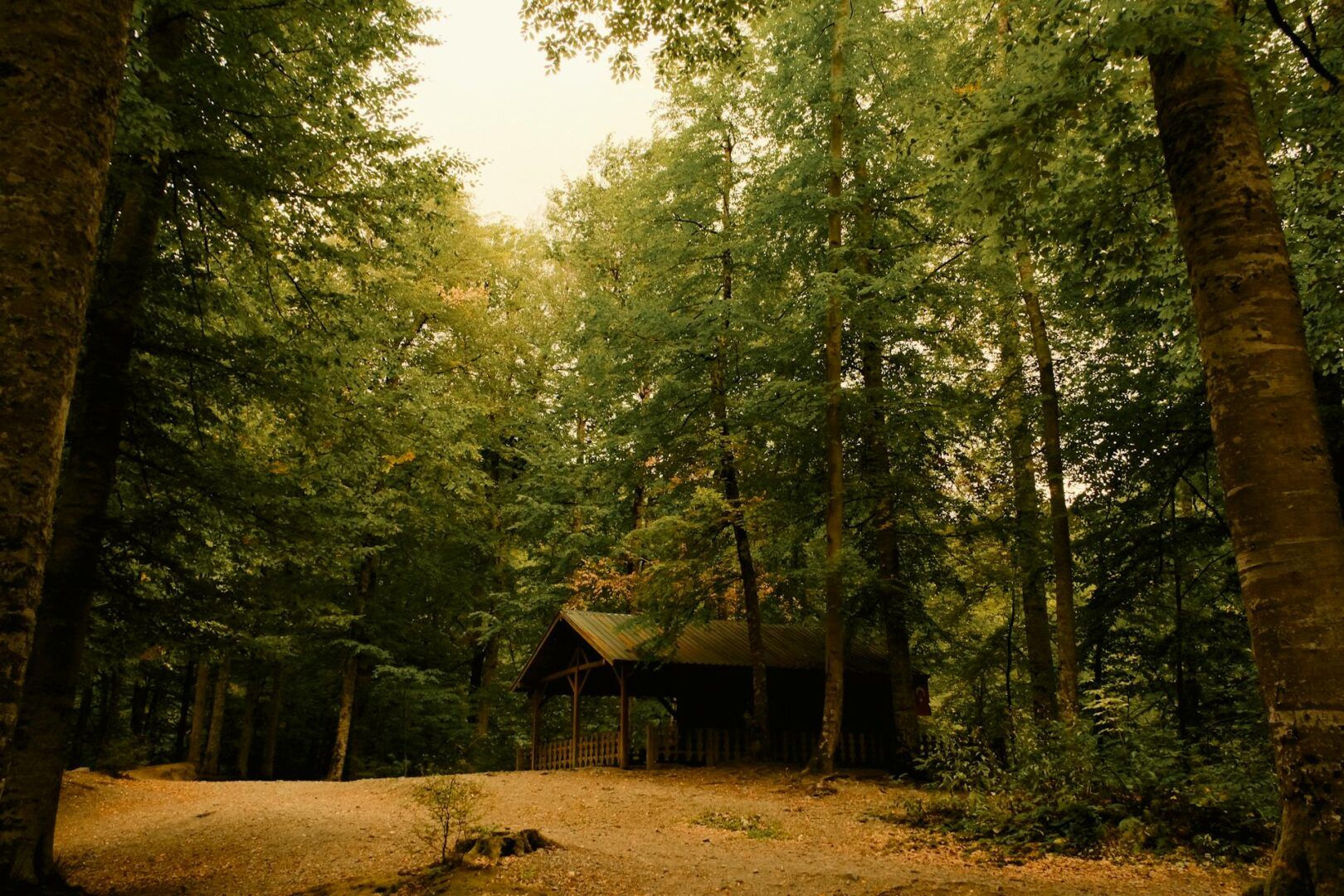 Dove andare in vacanza ad Ottobre: scoperte autentiche e immersioni culturali