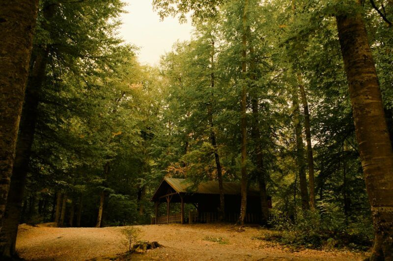 Dove andare in vacanza ad Ottobre: scoperte autentiche e immersioni culturali