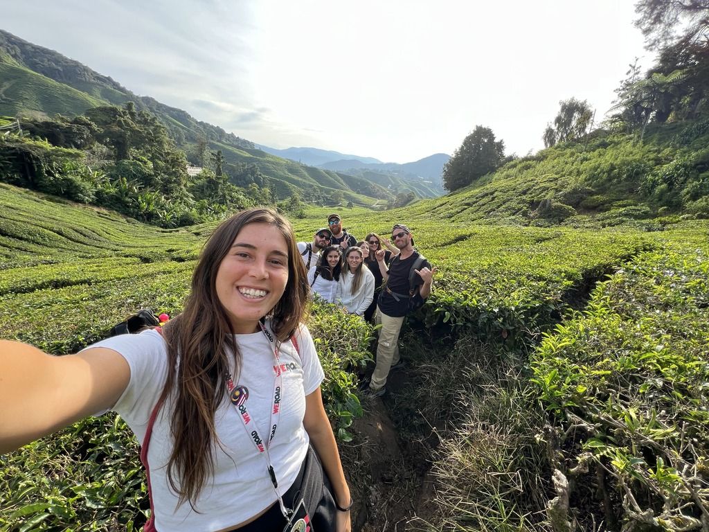 Gruppo di viaggiatori WeRoad in posa per un selfie tra le piantagioni di tè della Malesia.