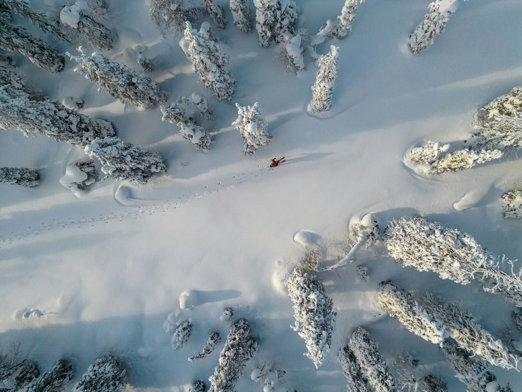 Veduta aerea di una foresta lappone coperta di neve con una persona che cammina solitaria tra gli alberi.