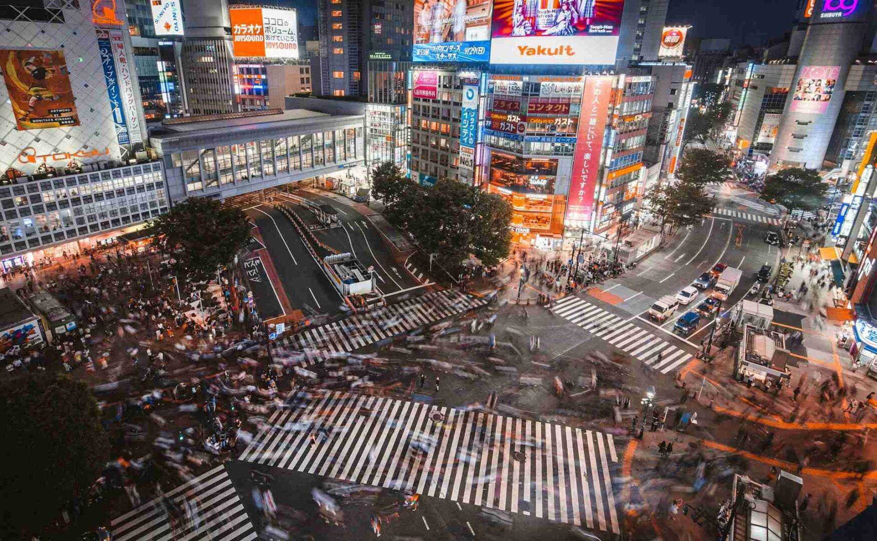 Dove dormire a Tokyo: guida ai quartieri migliori
