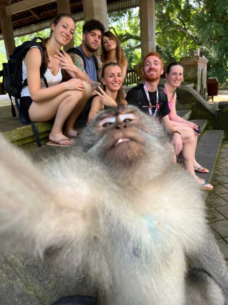 Una scimmia fa un selfie con un gruppo WeRoad a Bali.