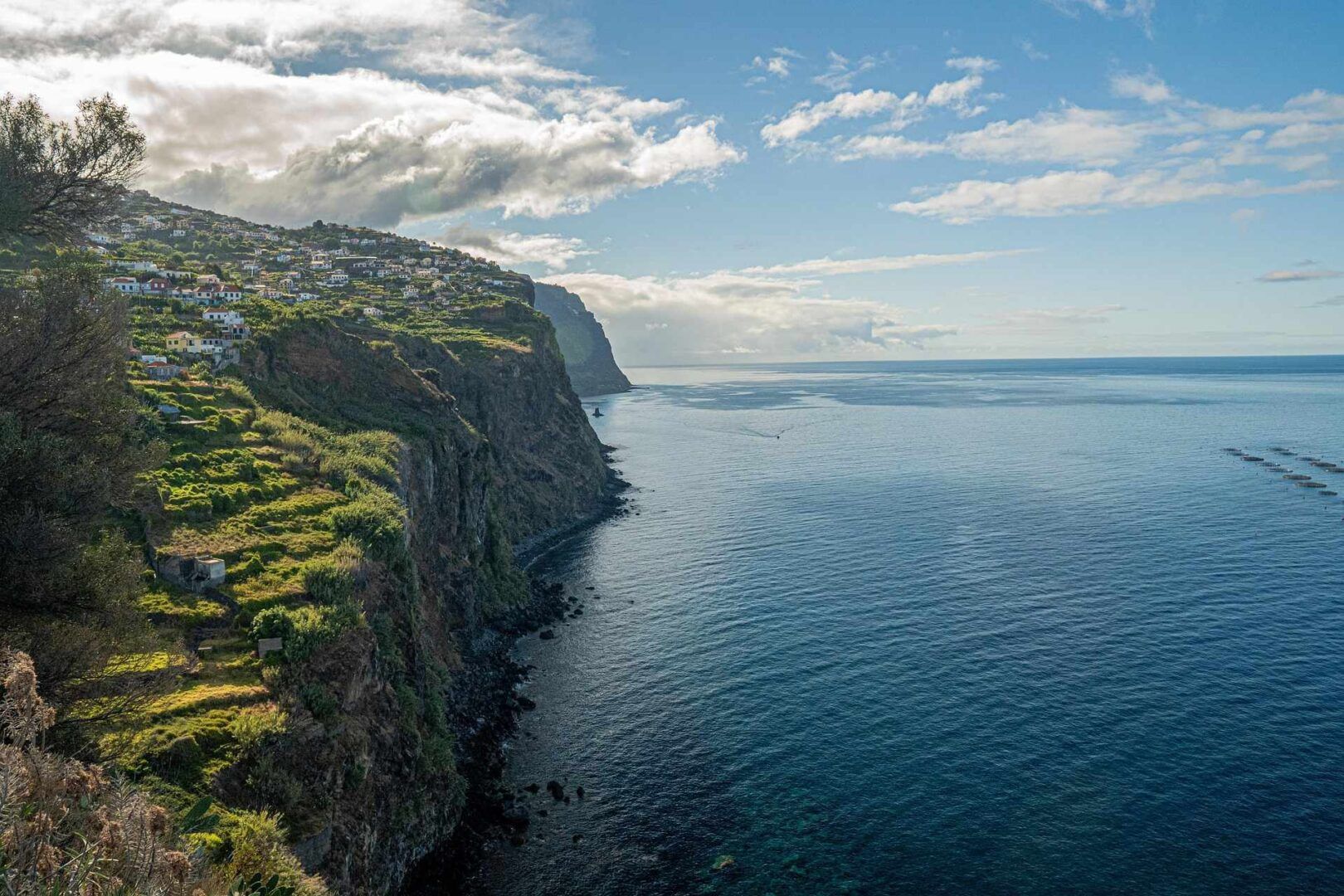Trekking a Madeira: guida completa a sentieri, levadas e percorsi imperdibili
