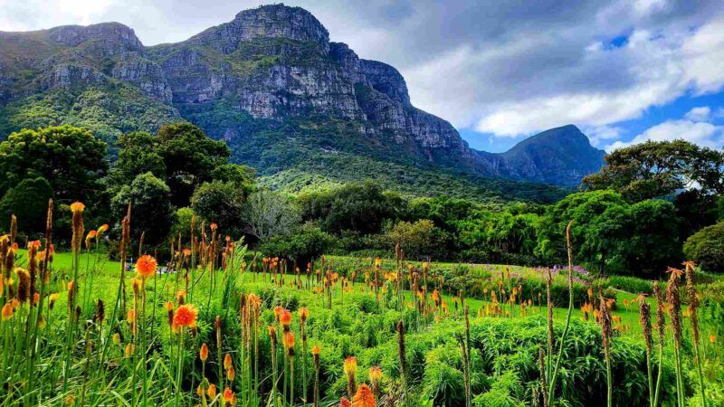 Kirstenbosch National Botanical Garden.