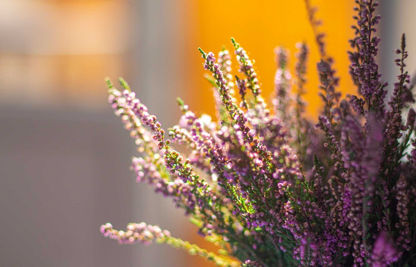 Dove andare a settembre: destinazioni imperdibili per fine estate