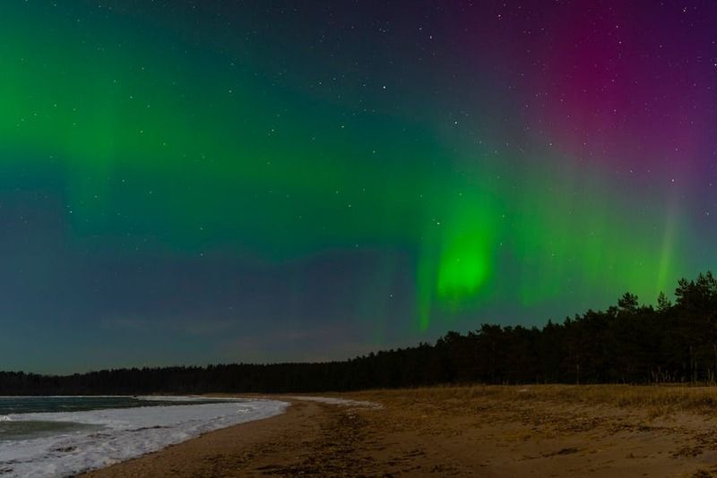 Aurora boreale verde e viola su una spiaggia sabbiosa con una foresta di conifere di notte
