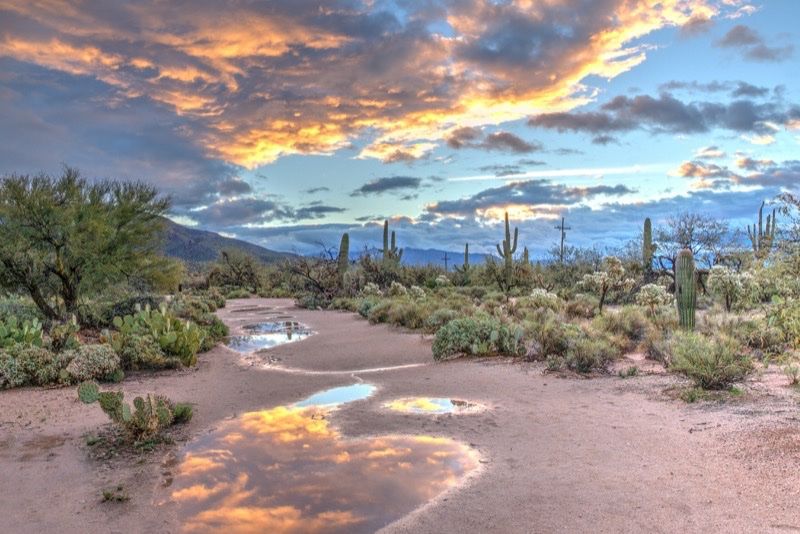 Deserto in Arizona