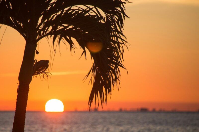 Florida.