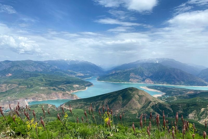 Vista panoramica dall'alto su un lago turchese circondato da catene montuose innevate, con colline verdi e fiori selvatici rossi in primo piano